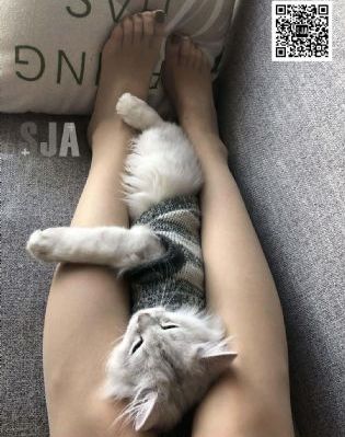 西西里最美的传说